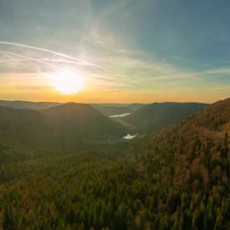 forêt Vosges 