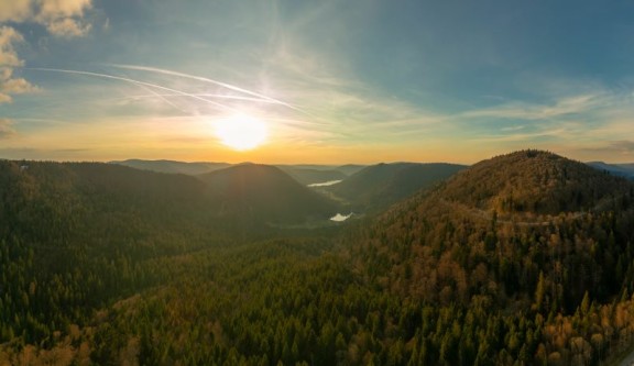 forêt Vosges 